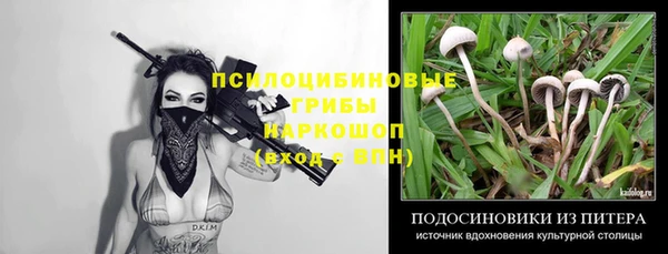 эйфоретик Мегион
