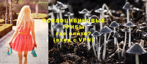 jwh Солнечногорск