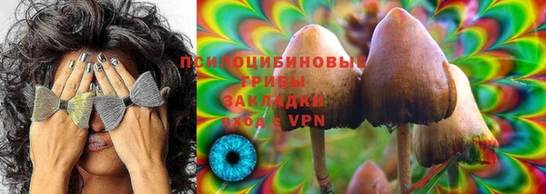 ALPHA-PVP Медвежьегорск